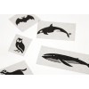 MT Screen Print Tape Black Animals