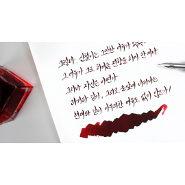 Korean Female Modern Writer Ink | Human Problem