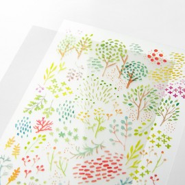 Transfer Stickers Midori | Colorful Orchard