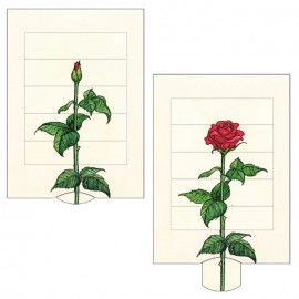 Greeting Card Curiosi Rose