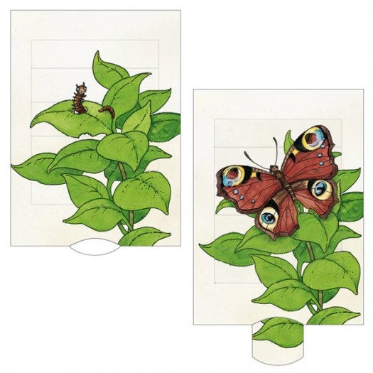 Greeting Card Curiosi | Caterpillar