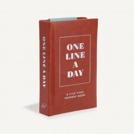 Luxe One Line a Day Diary