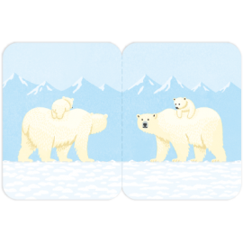 Karteczki samoprzylepne z ilustracją niedźwiedzia polarnego.