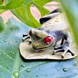 The unusual frog-shaped clip will make it easier for us to use books, notebooks and calendars.