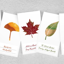 Ink Swatch Cards Wearingeul | Maple Leaf