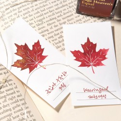 Ink Swatch Cards Wearingeul | Maple Leaf