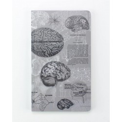 Planer tygodniowy Cognitive Surplus | Anatomia Mózgu