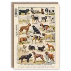Greeting Card | Dogs Breeds