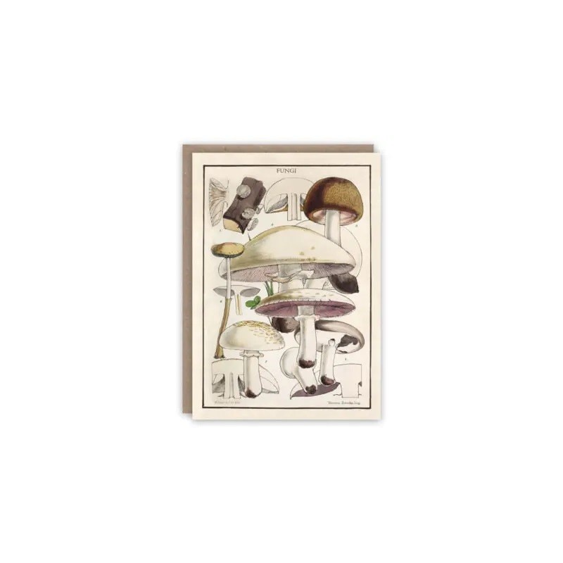 Greeting Card | Fungi