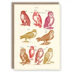 Greeting Card | Owls