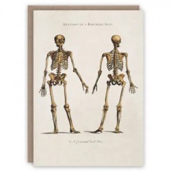 Greeting Card | Anatomy of a Birthday Suit