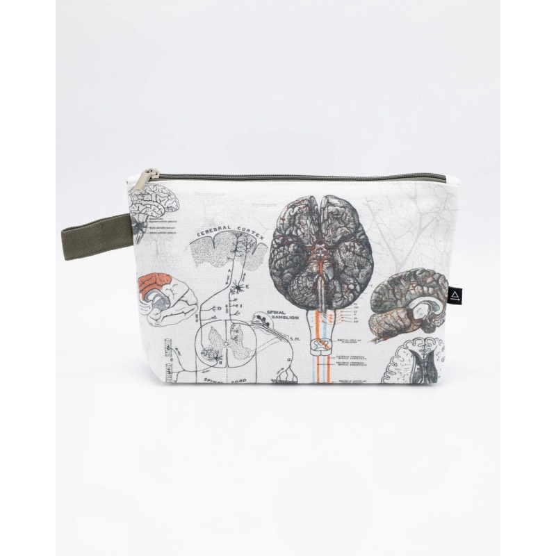 Cognitive Surplus Pencil Case | Brain Anatomy