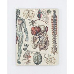 Cognitive Surplus Hardcover Notebook | Vascular Anatomy