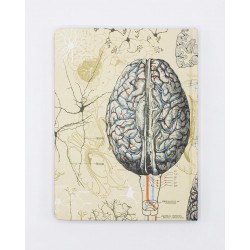 Notatnik Cognitive Surplus w twardej oprawie | Anatomia mózgu
