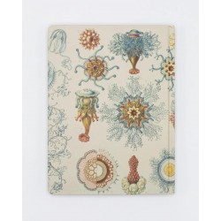 Cognitive Surplus Hardcover Notebook | Haeckel Jellyfish