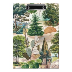 Bomo Art Clipboard | The Mysterious Life of Trees
