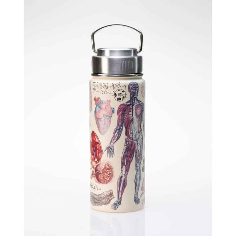 Cognitive Surplus Steel Bottle | Human Anatomy