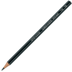 Caran d'Ache Grafwood 7B pencil