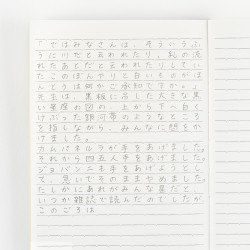 Notatnik Hobonichi A6 | Linie