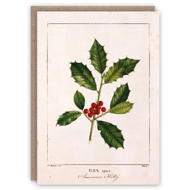 Greeting Card | Holly