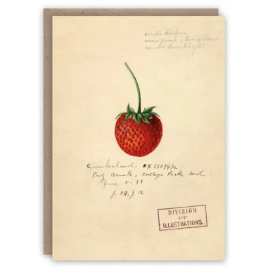 Greeting Card | Strawberry