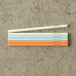 Midori MD Paper Colour Pencils