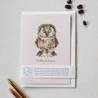 Greeting Card | Owl