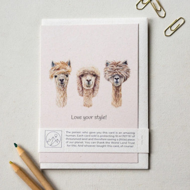 Greeting Card | Alpacas